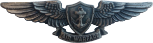 Badge Enlisted Aviation Warfare Specialist insignia 