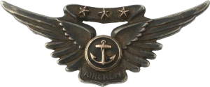Badge Aircrew man 
