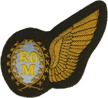 Badge Radioman 