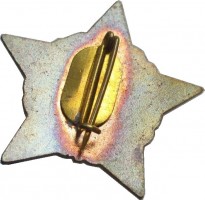 Badge  