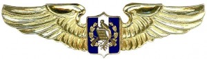 Нагрудный знак Пилот  