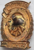 Badge  