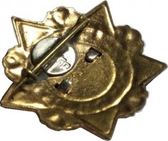 Badge  