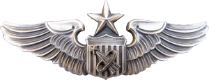 Badge Senior austranaut 