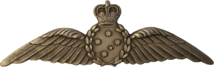 Badge Офицер боевого управления 