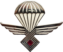 Знак Parachutist