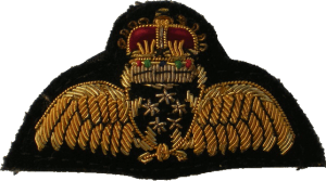 Badge Air Combat Officer 