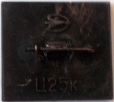 Нагрудный знак Калуга  1941 