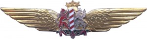 Badge Board aviation pilot 