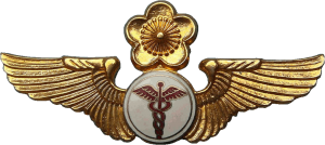 Badge Flight surgeon 