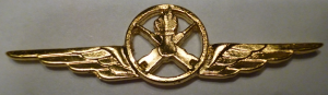 Badge Weapon service specialist 