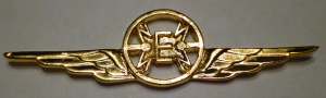 Badge Aviation electrician specialist badge 
