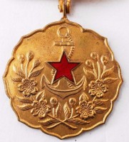 Нагрудный знак Женская патриотическая организация (Айкоку Фуинкай), знак отличия 2-го класса 