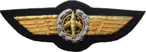 Badge Observer 2nd class 