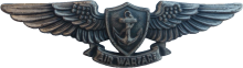 Знак Enlisted Aviation Warfare Specialist insignia