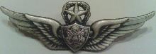 Знак Army Master Aviation Badge