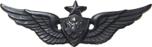 Знак Army Senior Aviation Badge
