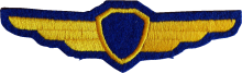 Знак Pilot without class