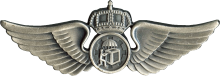Знак Aircrew man badge