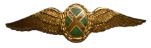 Знак South African Air Force Commando pilot wings