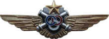 Знак Pilot helicopter instructor