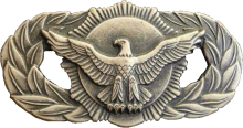 Знак Security Police Qualification Badge