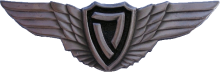 Знак Light aircraft pilot badge