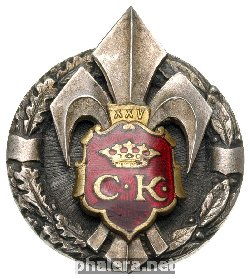 Знак 25-летие скаутов Кельца