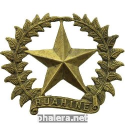 Знак 17th Ruahine Regiment Cap Badge