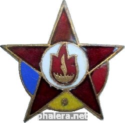 Нагрудный знак Пионерия 