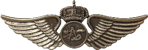 Badge Aviation engineer 