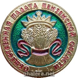 Нагрудный знак Общественная Палата Пензенской Области. 