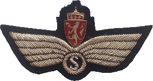 Badge S 