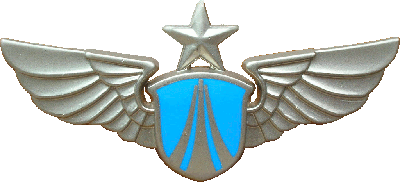 Нагрудный знак Общий ВВС 