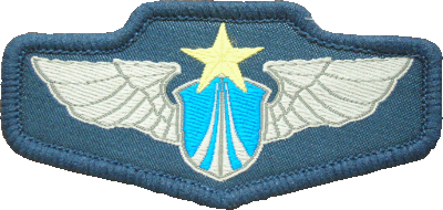 Нагрудный знак ВВС 