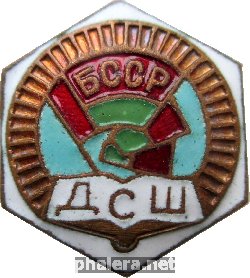 Нагрудный знак ДСШ Белорусской ССР 