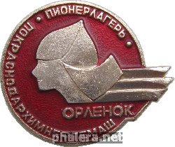 Нагрудный знак Пионерский Лагерь 