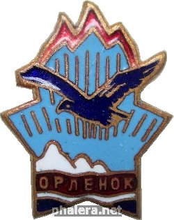 Нагрудный знак Пионерлагерь Орлёнок 