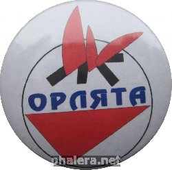 Нагрудный знак Детская организация 