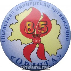 Знак 85 лет областной пионерской организации 