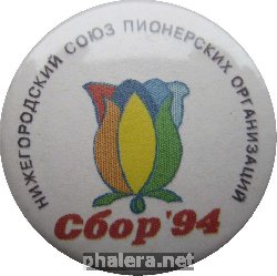 Знак Сбор 1994 года. Нижегородский Союз Пионерских Организаций. 