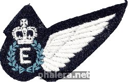 Badge  Royal Australian Air Force Engineer 