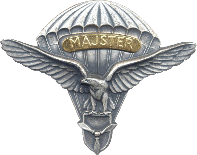 Знак Мастер парашютист ВВС