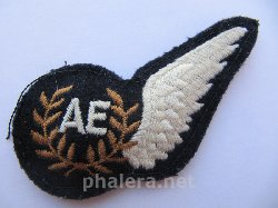Badge Air Electronics Officer 