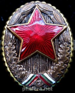 Нагрудный знак Кокарда 