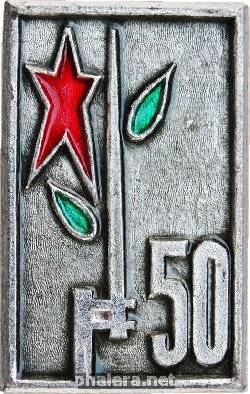 Знак Зарница 50