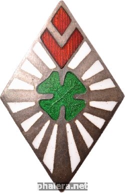 Badge  