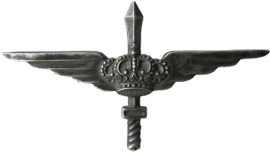 Нагрудный знак Экс-пилот Нагрудный знак Экс-пилот