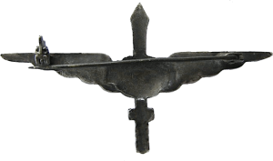 Badge Ex-pilot 