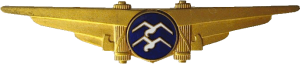 Badge Glider pilot category 